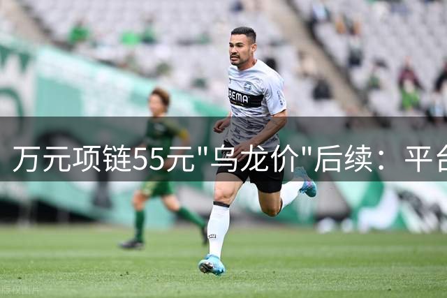 万元项链55元"乌龙价"后续：平台承认系统故障，用户获5元补偿