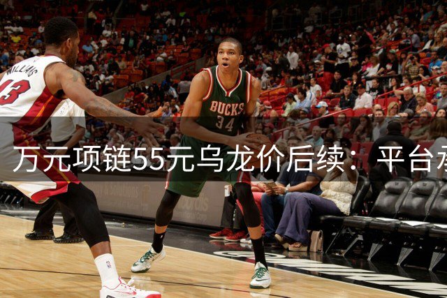万元项链55元"乌龙价"后续：平台承认系统故障，用户获5元补偿