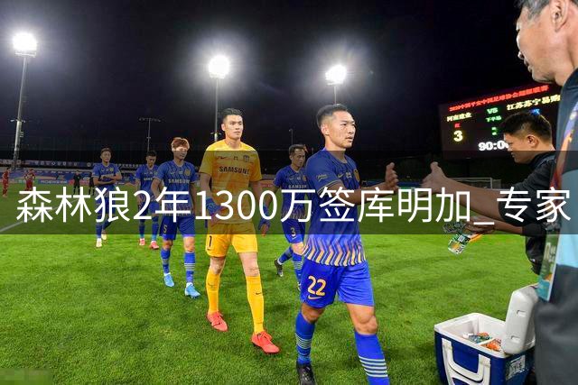 森林狼2年1300万签库明加 专家：技术缺陷仍存但前景看好